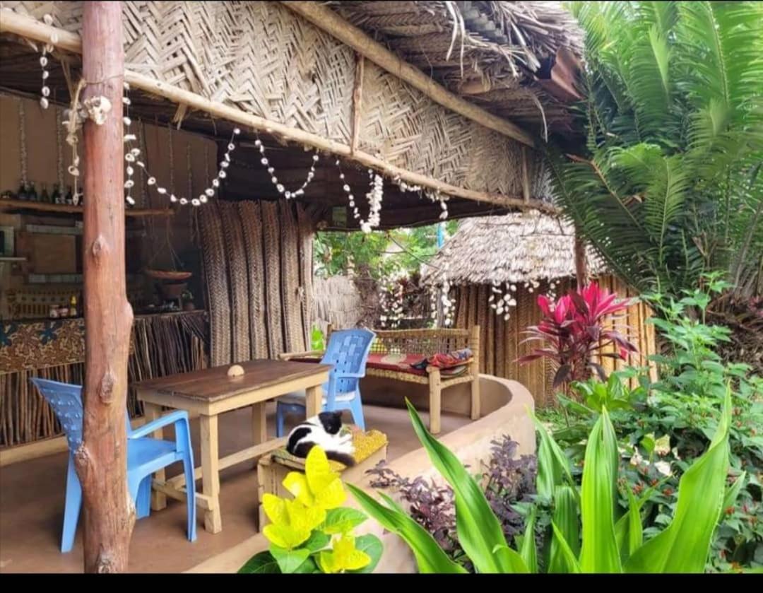 Sweet Home Kiwengwa  Exterior foto