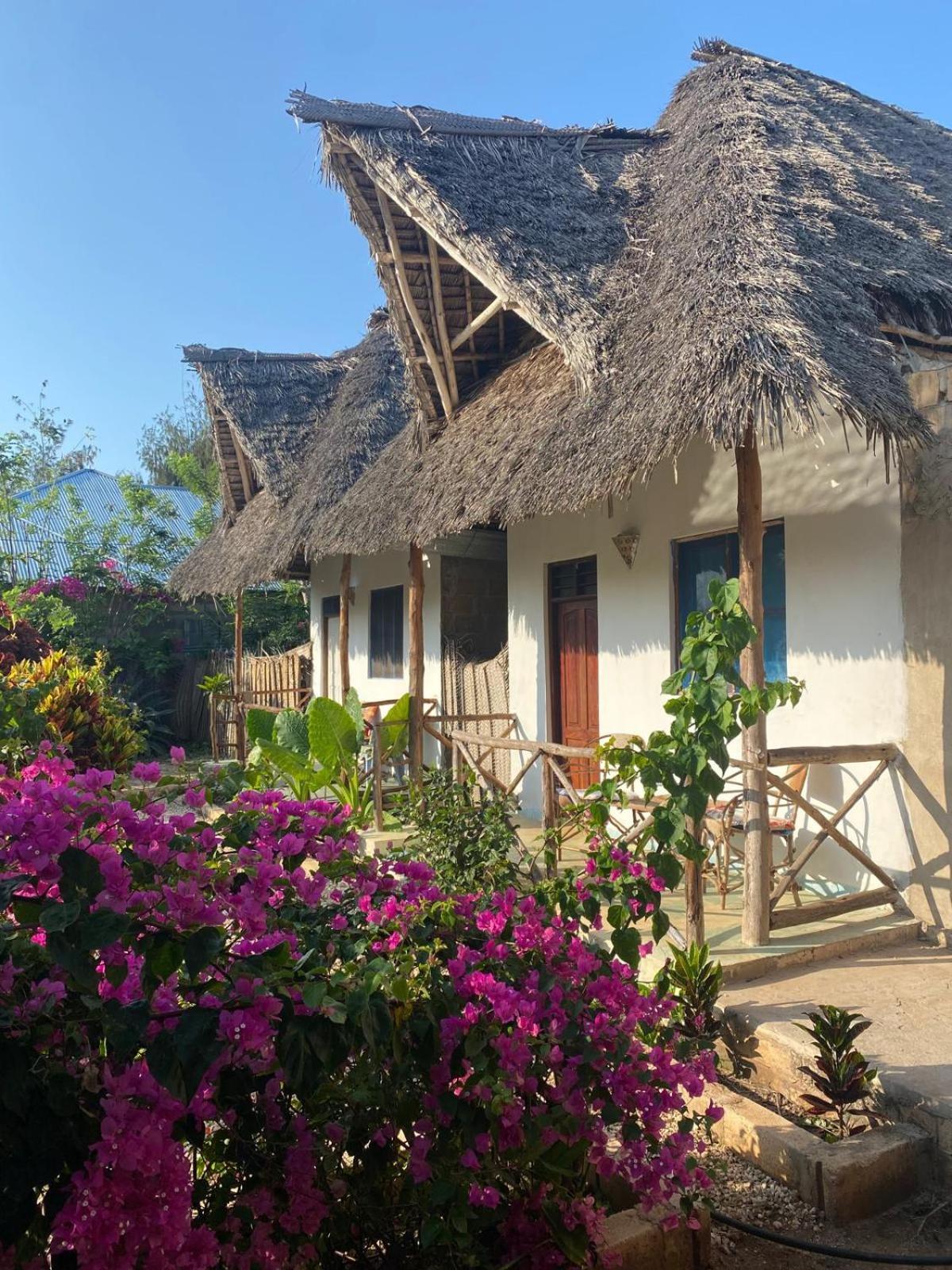 Sweet Home Kiwengwa  Exterior foto