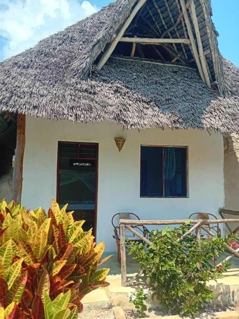 Sweet Home Kiwengwa  Exterior foto