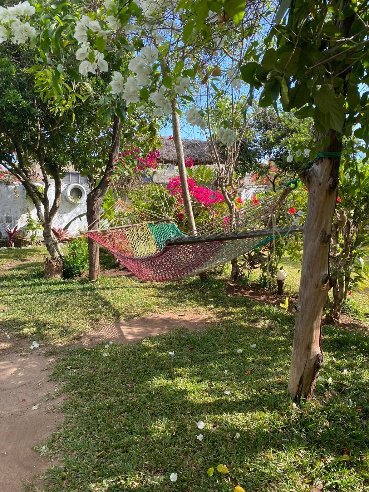 Sweet Home Kiwengwa  Exterior foto